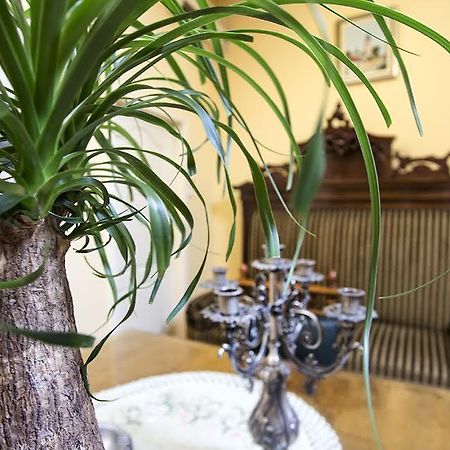 Luna Apartment Novi Sad Luaran gambar