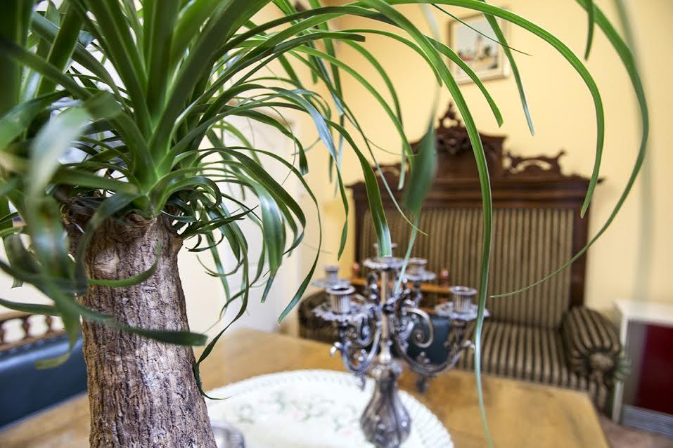 Luna Apartment Novi Sad Luaran gambar